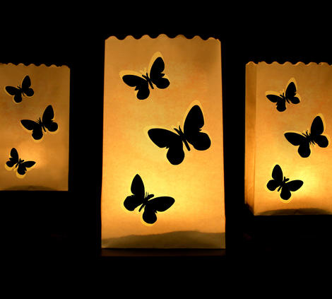 Lanterna in Carta con Farfalle (10Pz)  